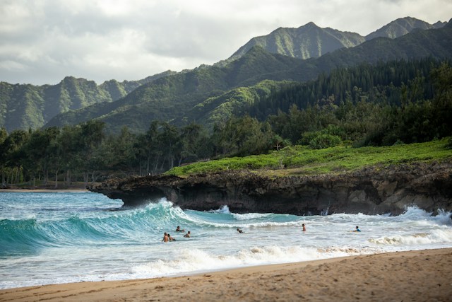 Discover Hawaiian Surfing Shirts Perfect for Your Holiday Vibes