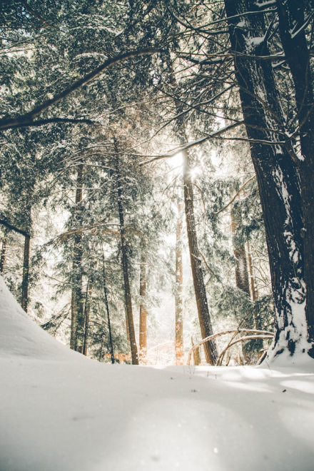Winter Hacks for a Warm and Productive Work Day