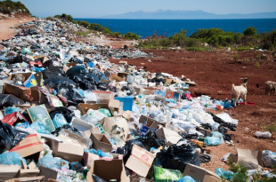 Scientists Develop 'Self-digesting Plastic' That Could Help Reduce Pollution