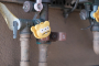 plumber