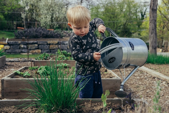 Sustainable Garden Practices: How to Reduce Waste and Improve Your Garden's Health