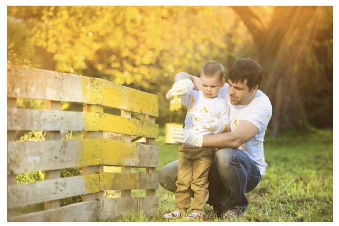 Wood Fences in America: Cost, Lifespan, and the Booming Fence Construction Industry