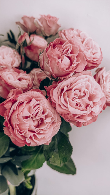 What Flowers Are Given for an Anniversary—and Why