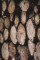 Sawmills