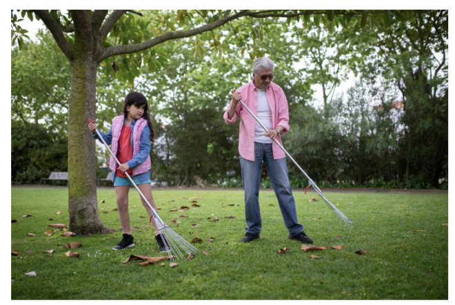 Autumn Home Maintenance: 8 Chores To Carry Out Before The Winter Bites