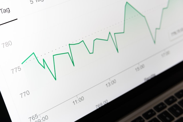 How Software Companies Build Sustainable Organic Growth