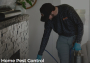 Cockroaches: Effective Ways to Identify, Control, and Prevent Infestations