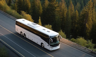 Wedding Shuttle Bus Rental Tips for Every Venue